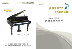 晋江凯丽德数码钢琴有限公司