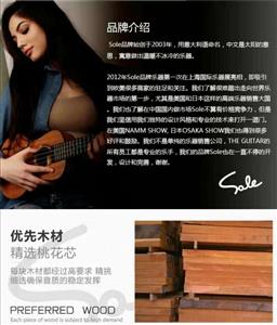惠州太阳人乐器有限公司