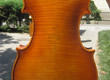 小提琴003