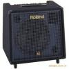 Roland(罗兰) KC-550 立体声键盘音箱4200元