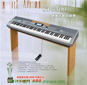 美得理钢琴DP300