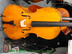 知音大提琴.JPG