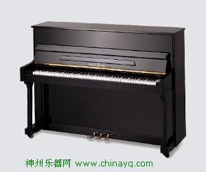 珠江118M+（教学练习专用琴） ：5460元