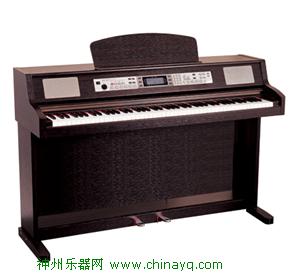 美德理DP-163数码电钢琴 :1080元