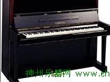 特价批发零售卡瓦依立式/三角钢琴系列