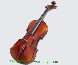 传音亮光虎纹小提琴雅丽轩乐器特价出售