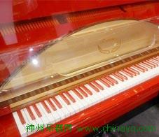 罗曼钢琴TR125
