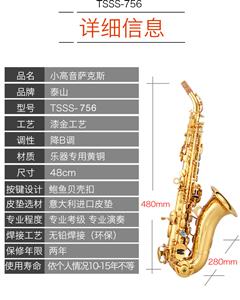 泰山（TAISHAN MADE） 乐器弯管小高音萨克斯风管乐器TSSS-756初学考级 TSSS-756 金色经典款